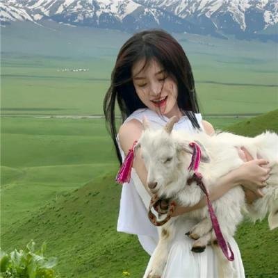 小乌龟福兰克林